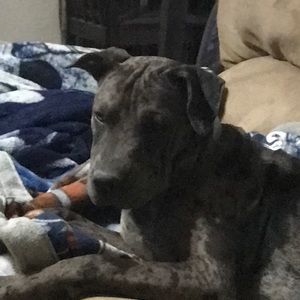 Meet your Posher, Trent